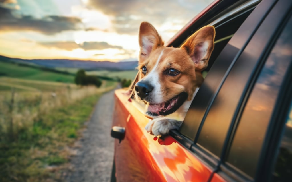 Paso 5: Entiende tu tarifa - Cómo se calcula el precio