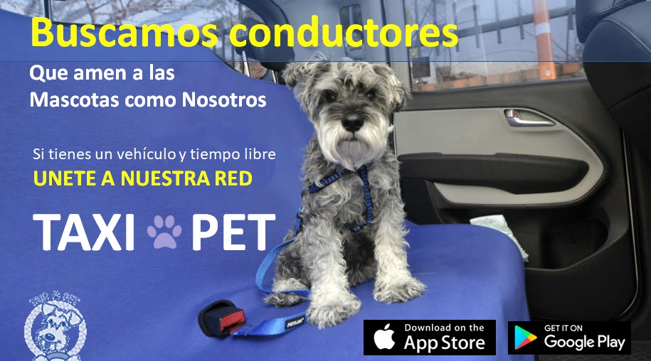 Busqueda de conductores pet-friendly para Taxi Pet Lima